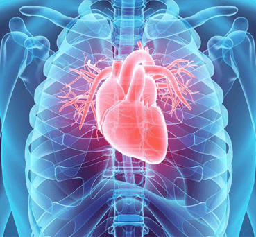 Cardiology