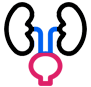 Urology